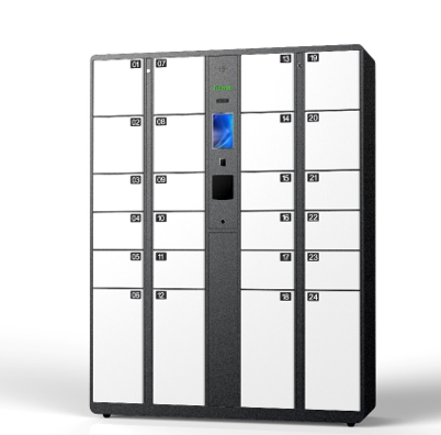 天地伟业/Tiandy TC-P808SM :24/PY /V2.0 保密柜 随身物品柜